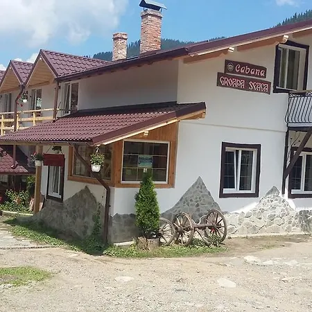 Groapa Seaca Petroşani